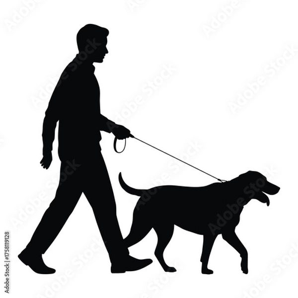 Fototapeta Silhouette of a man walking his dog on a leash