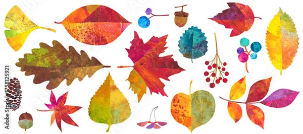 Obraz 秋の紅葉した、森の自然素材イラストセット。紅葉やどんぐりなどの木の実。カラフルなペインティングテクスチャのイラスト。