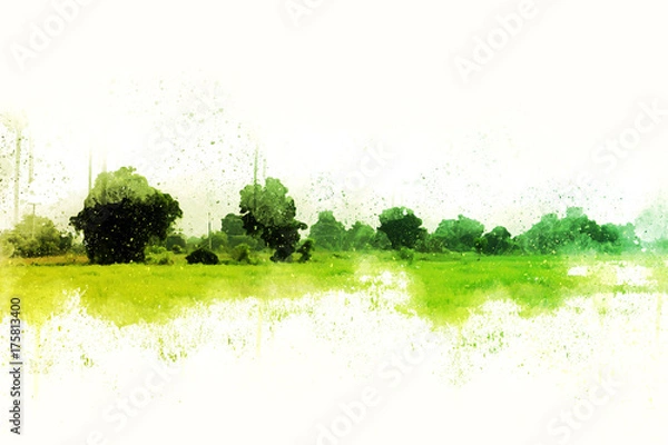 Fototapeta Abstract Colorful tree and landscape tree on watercolor painting background.