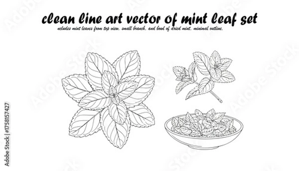 Fototapeta A collection of mint leaf illustrations, including a top-down view, a small branch, and a bowl filled with mint leaves, all rendered in clean line art.