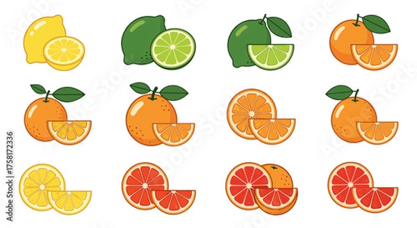 Fototapeta Vector flat icon set of citrus fruits – lemon, lime, orange, grapefruit, sliced and whole versions, colorful flat vector, white background 