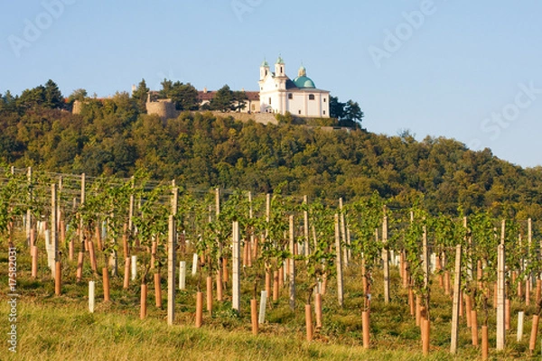 Obraz Leopoldsberg seen from wine yard, Vienna
