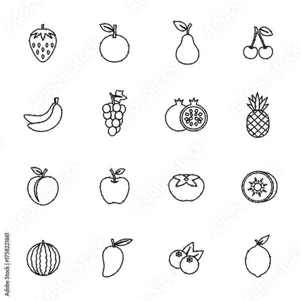 Fototapeta 果物のアイコンのセット　フルーツのベクターイラスト　手描き風
