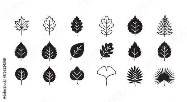 Obraz Collection of stylized monochrome leaf icons isolated on white background