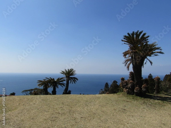 Obraz 宮崎県串間市、都井岬の美しい風景
