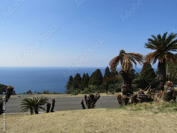 Obraz 宮崎県串間市、都井岬の美しい風景
