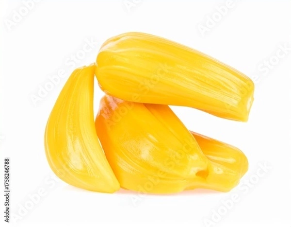 Fototapeta Boiled Jackfruit Seed Isolated on White Background for Premium Tropical Plant Food Object