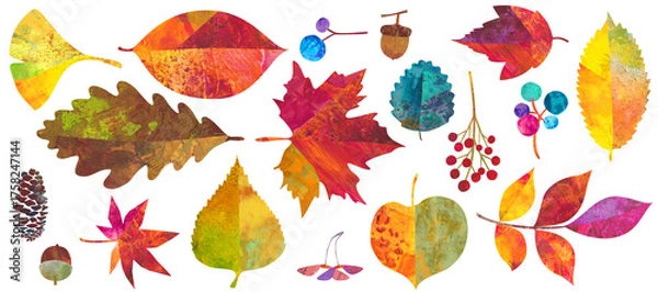 Obraz 秋の紅葉した、森の自然素材イラストセット。紅葉やどんぐりなどの木の実。カラフルなペインティングテクスチャのイラスト。