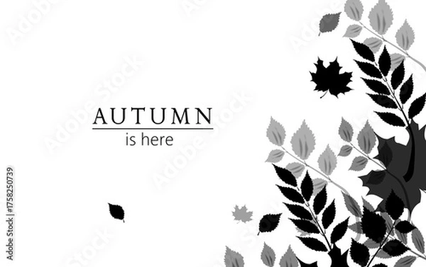 Obraz Autumn leaves background