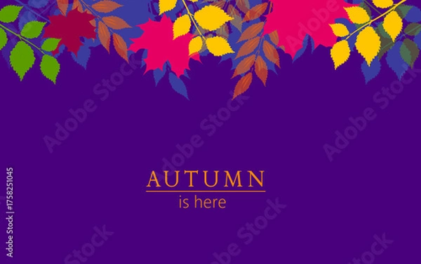 Obraz Autumn leaves background