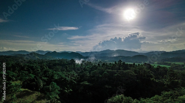 Obraz Sun in the Wild