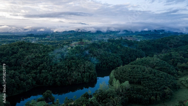 Obraz Above the Wild