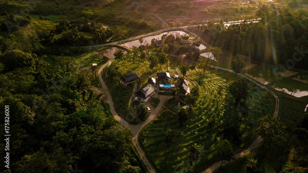 Obraz Mystery Living in Nature Throne