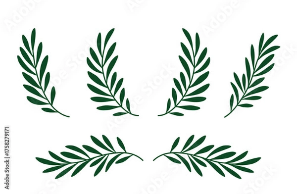 Obraz Olive wreath, branches with leaves decorations