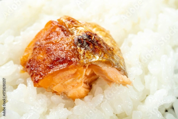 Fototapeta ぼだっこ弁当　鮭弁