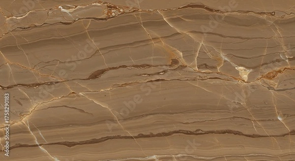 Obraz Abstract brown marble texture background elegant decorative design
