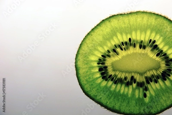 Obraz Kiwi