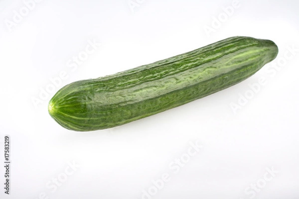Obraz Salatgurke