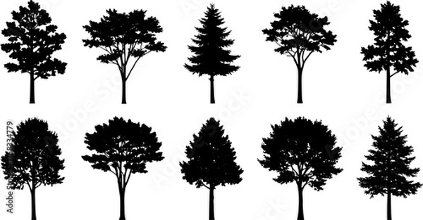 Fototapeta Silhouette trees set of various types, black monochrome vector illustration.