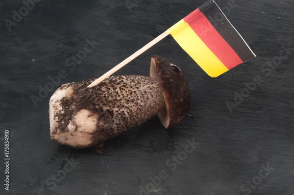 Obraz Deutscher Birkenpilz