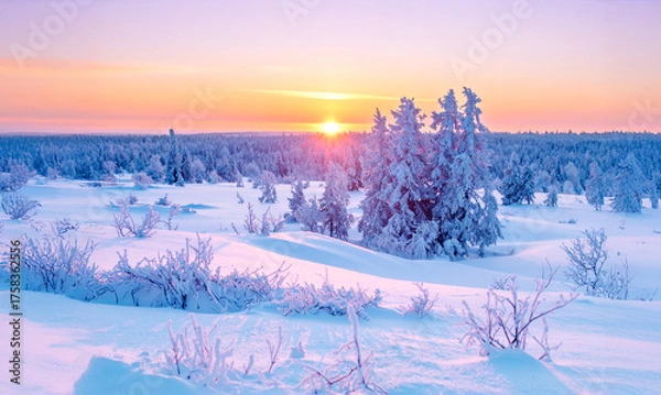 Fototapeta 雪原に広がる森と夜明けの太陽