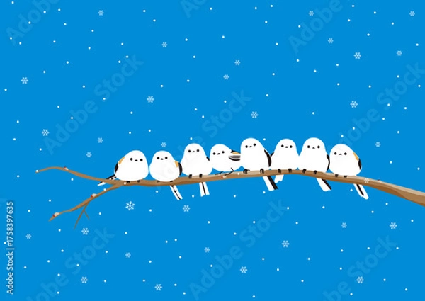 Fototapeta 雪が降る中、枝にとまって温まっているシマエナガたち