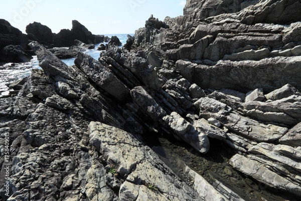 Obraz 室戸岬のタービダイト層