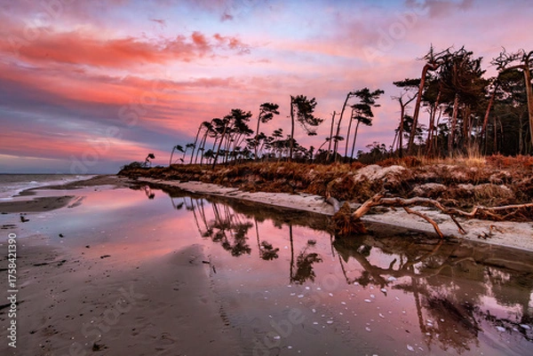 Obraz weststrand darß