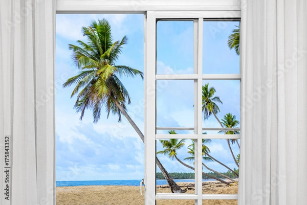 Fototapeta window open palm beach