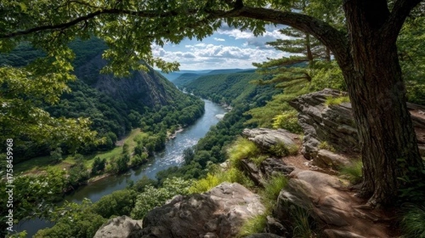 Fototapeta Delaware Water Gap - Serene Hiking Trail along River with Green Trees and Rocks