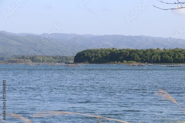 Obraz 春の佐渡島。加茂湖。