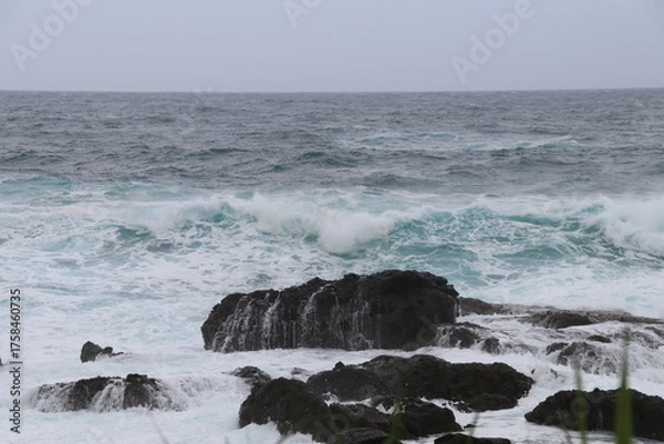 Obraz 春の佐渡島。戸地の海。荒波の海岸。