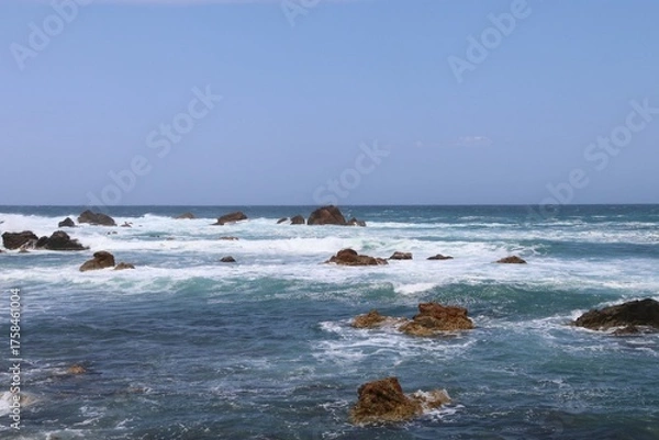 Obraz 春の佐渡島。藻浦﨑公園。