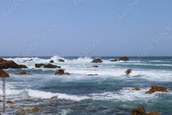 Obraz 春の佐渡島。藻浦﨑公園。