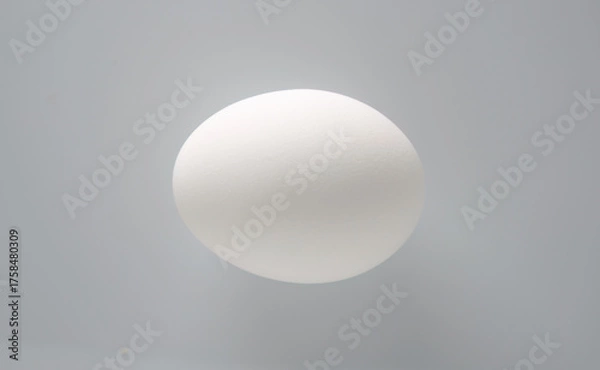 Fototapeta Minimalist White Egg Against Soft Gray Background