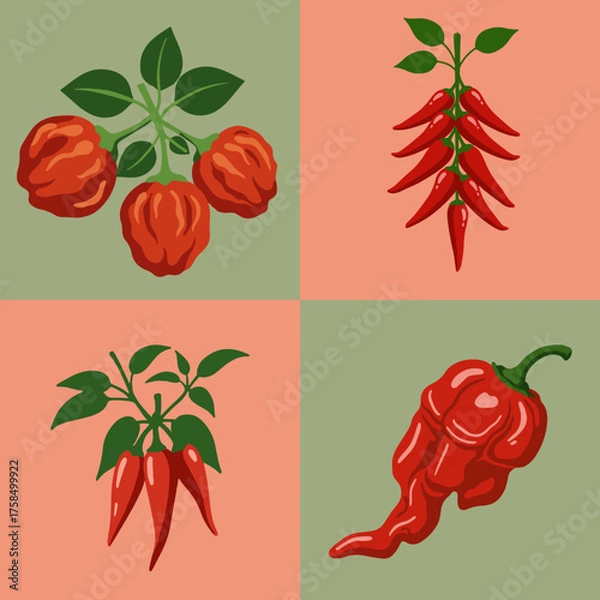 Fototapeta set illustration vector graphic of red chili pepper with green leaves