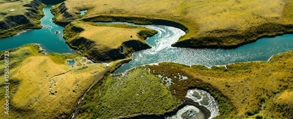 Obraz butterfly on a rock