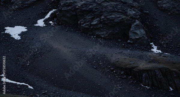 Obraz fish in aquarium