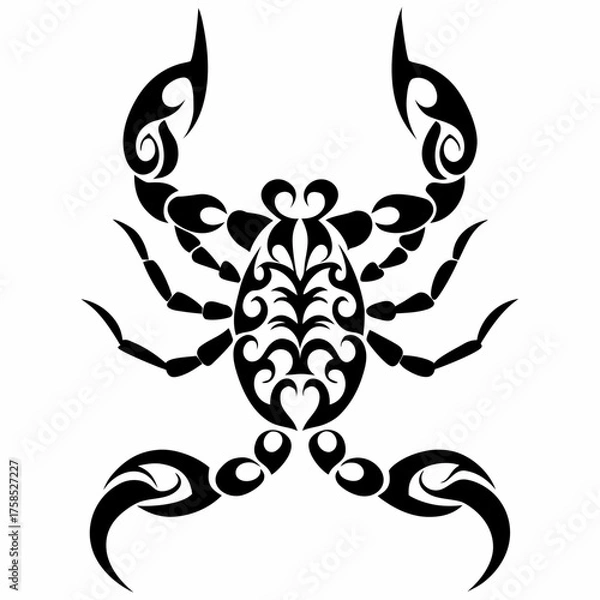 Fototapeta Crab spider silhouette on white background