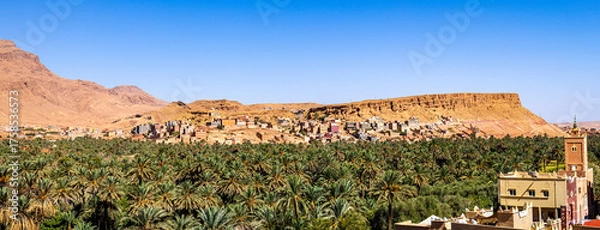 Fototapeta Palm oasis