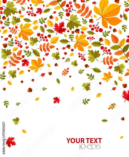 Fototapeta bright autumn background with leaves