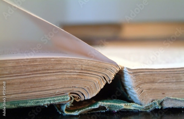 Obraz old book