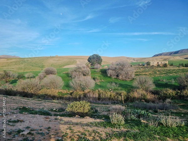 Fototapeta A view of the Algerian countryside, combining greenery and beautiful plains.