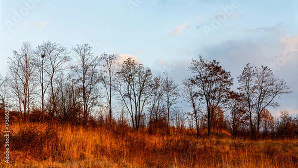Fototapeta A picturesque hill in autumn
