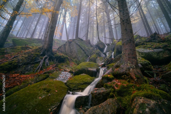 Fototapeta Fantasy and dark forest during a foggy morning with the best mystic atmosphere in the north of Bohemia, in Jizera mountains. View like from a fairy tale with pure water rivers and magic waterfalls.