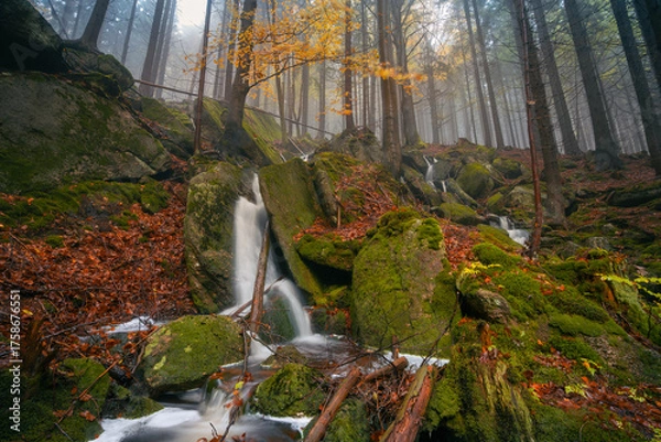 Fototapeta Fantasy and dark forest during a foggy morning with the best mystic atmosphere in the north of Bohemia, in Jizera mountains. View like from a fairy tale with pure water rivers and magic waterfalls.