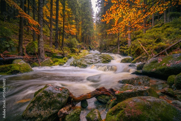 Fototapeta Fantasy and dark forest during a foggy morning with the best mystic atmosphere in the north of Bohemia, in Jizera mountains. View like from a fairy tale with pure water rivers and magic waterfalls.