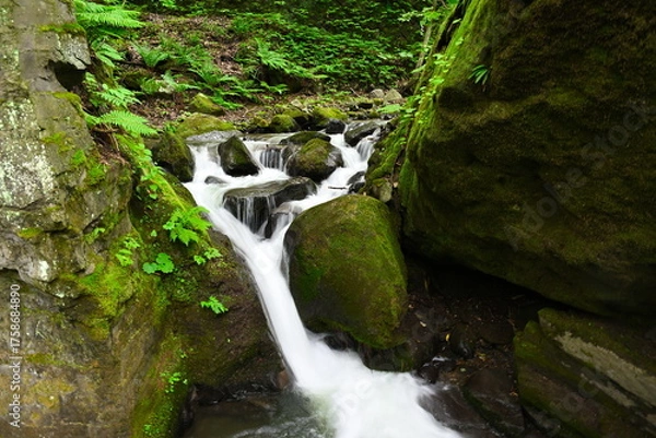 Fototapeta 奥入瀬渓谷（青森県）