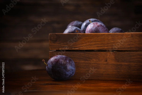 Obraz Empress Plums from Michigan