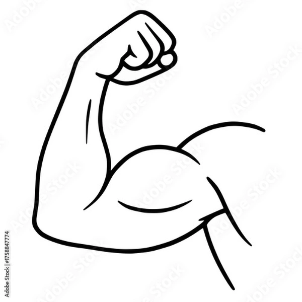 Fototapeta Flexed Arm with Prominent Bicep in Black and White Line Art Illustration